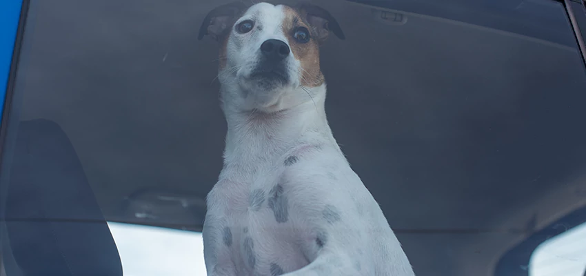 Car Lockout Solutions in Fontana, California